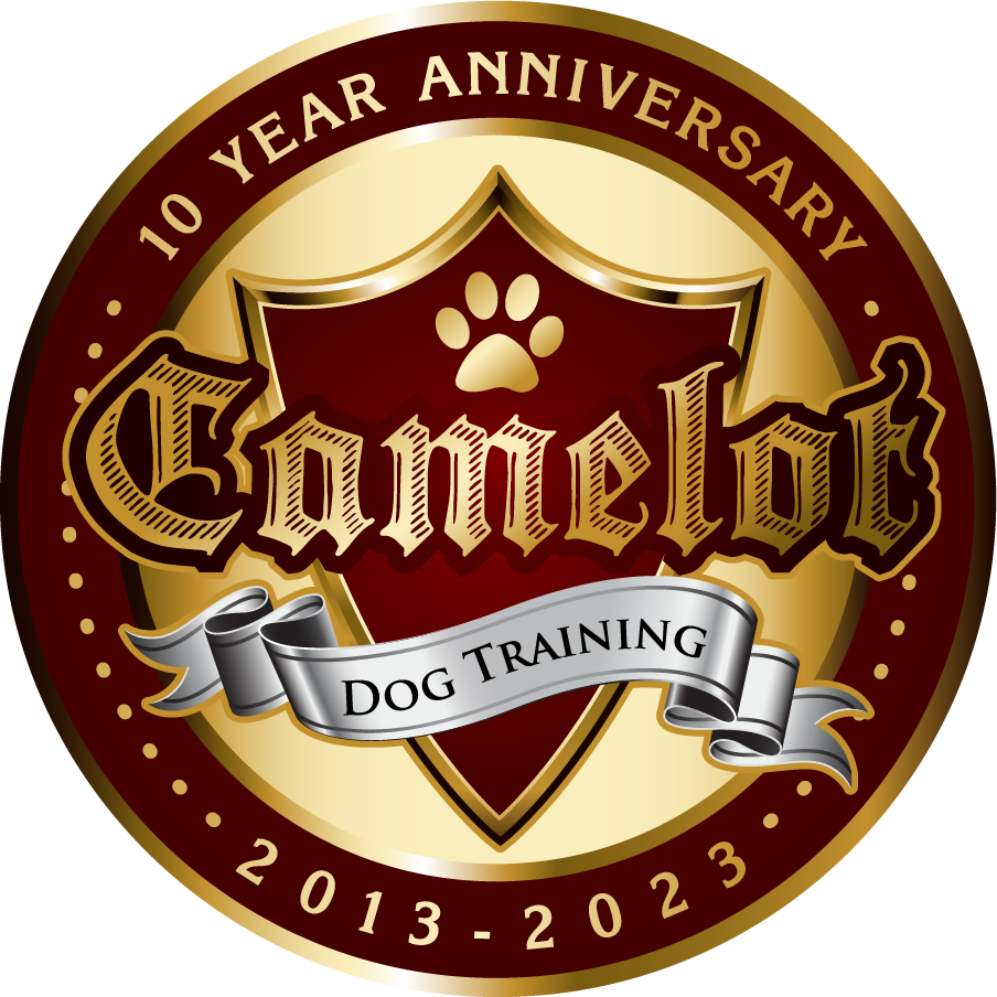 Camelot Dog Training