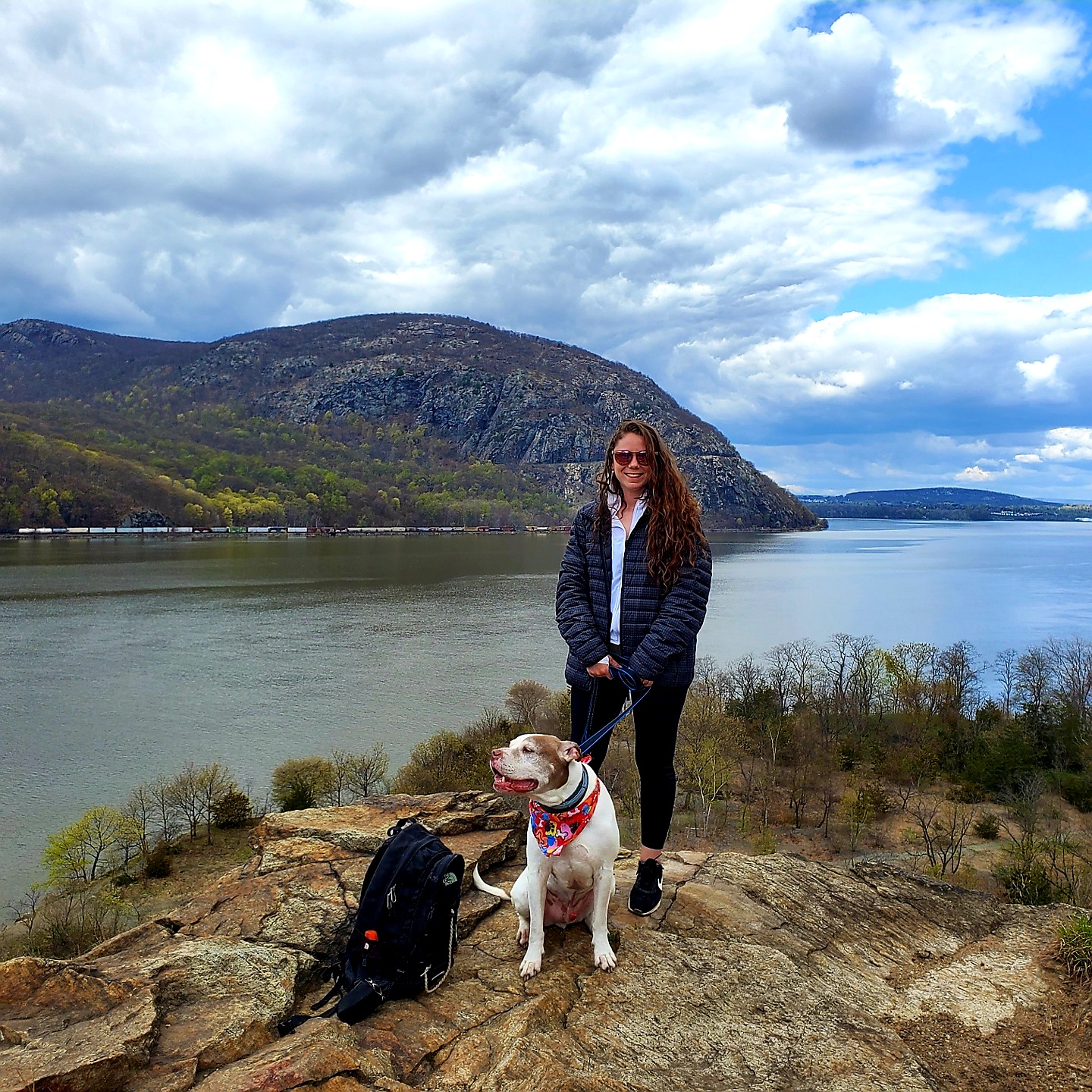 professional dog trainer