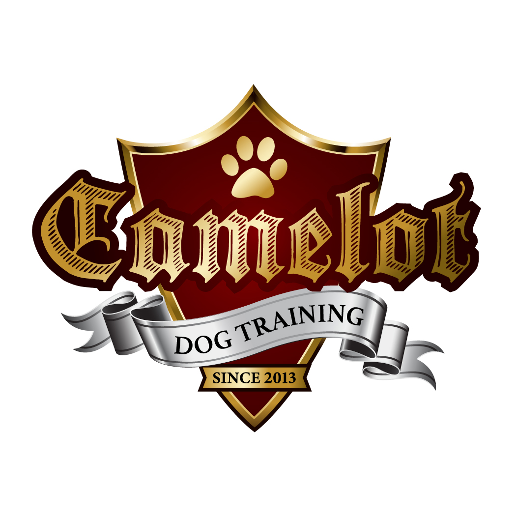 Camelot Dog Training