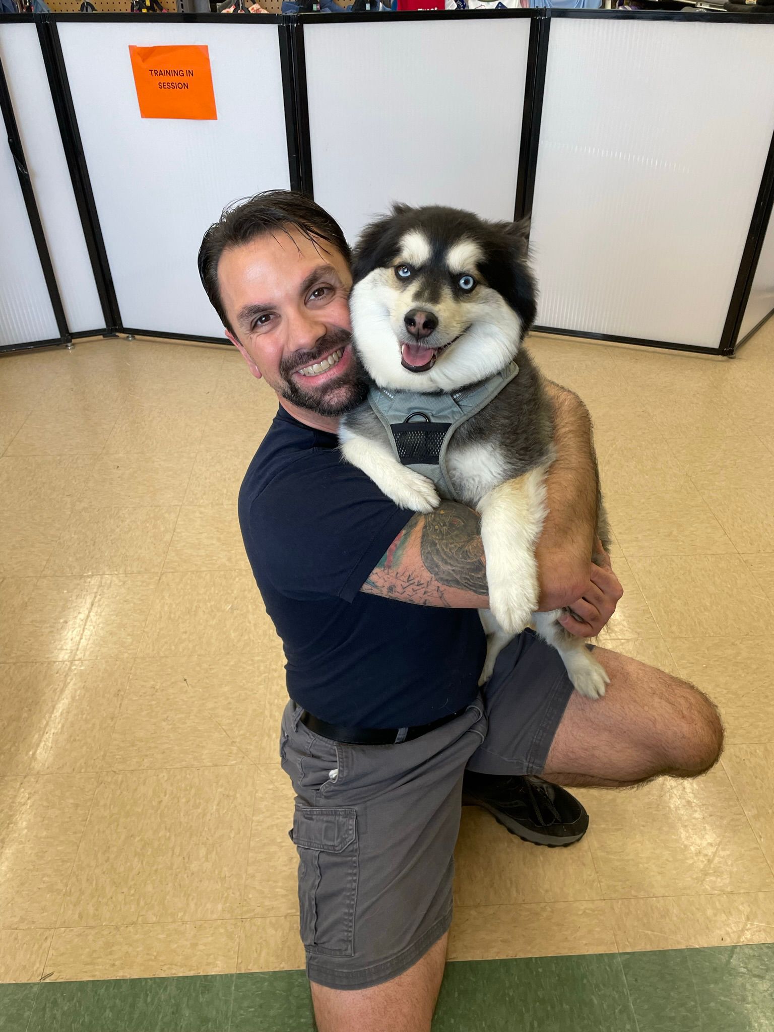 IMG_3981 professional dog trainer