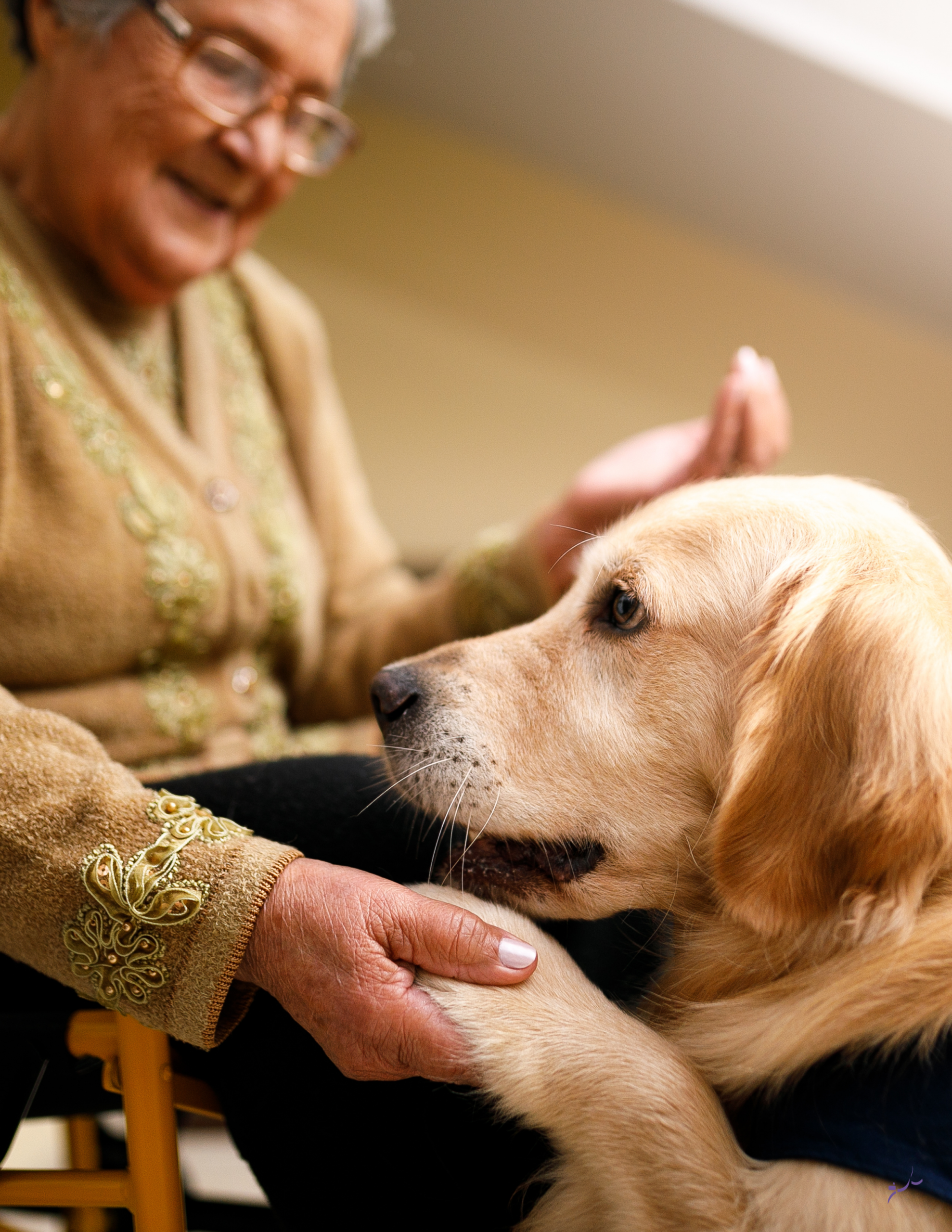 is your dog a good candidate for therapy work