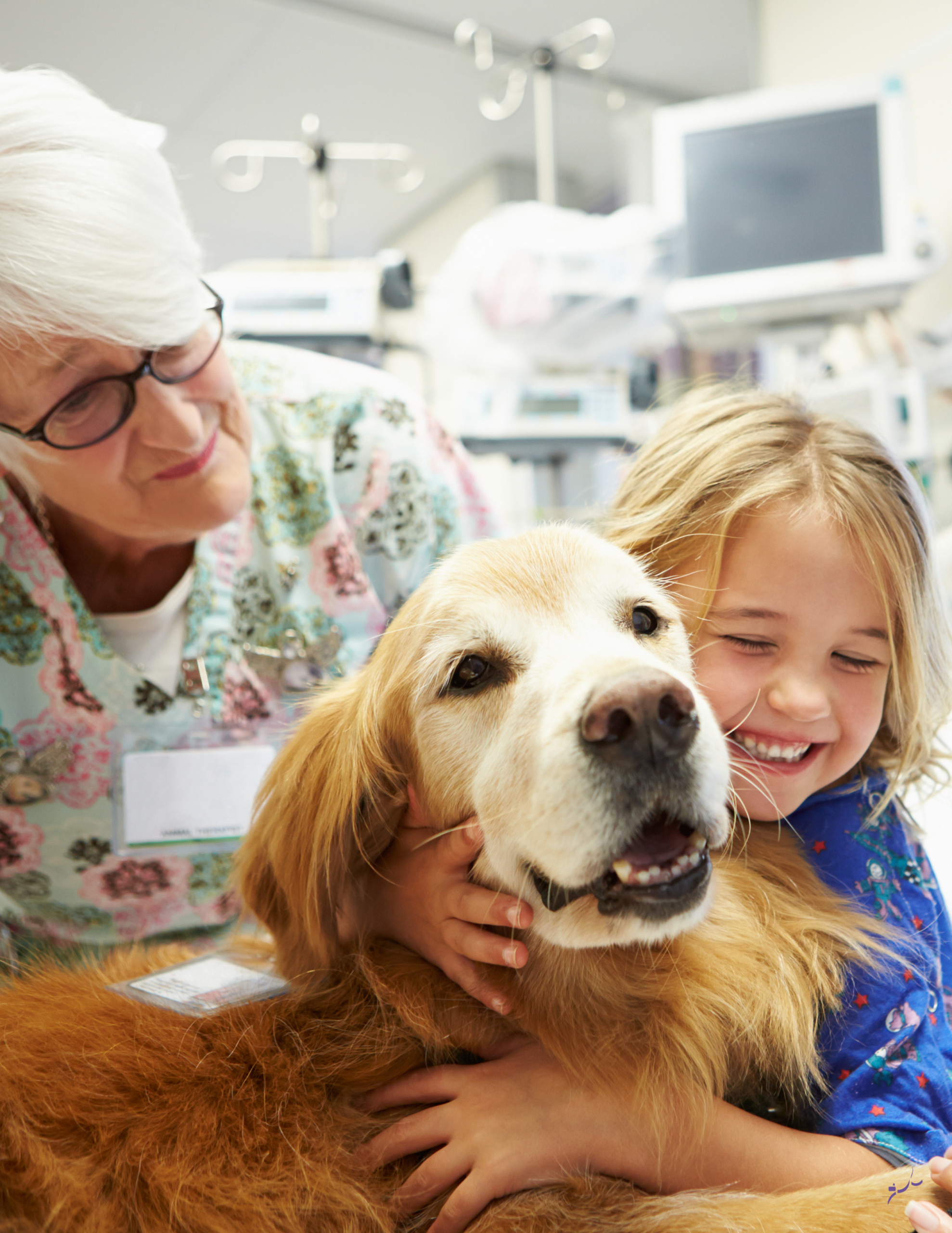 our therapy dog program in new haven ct
