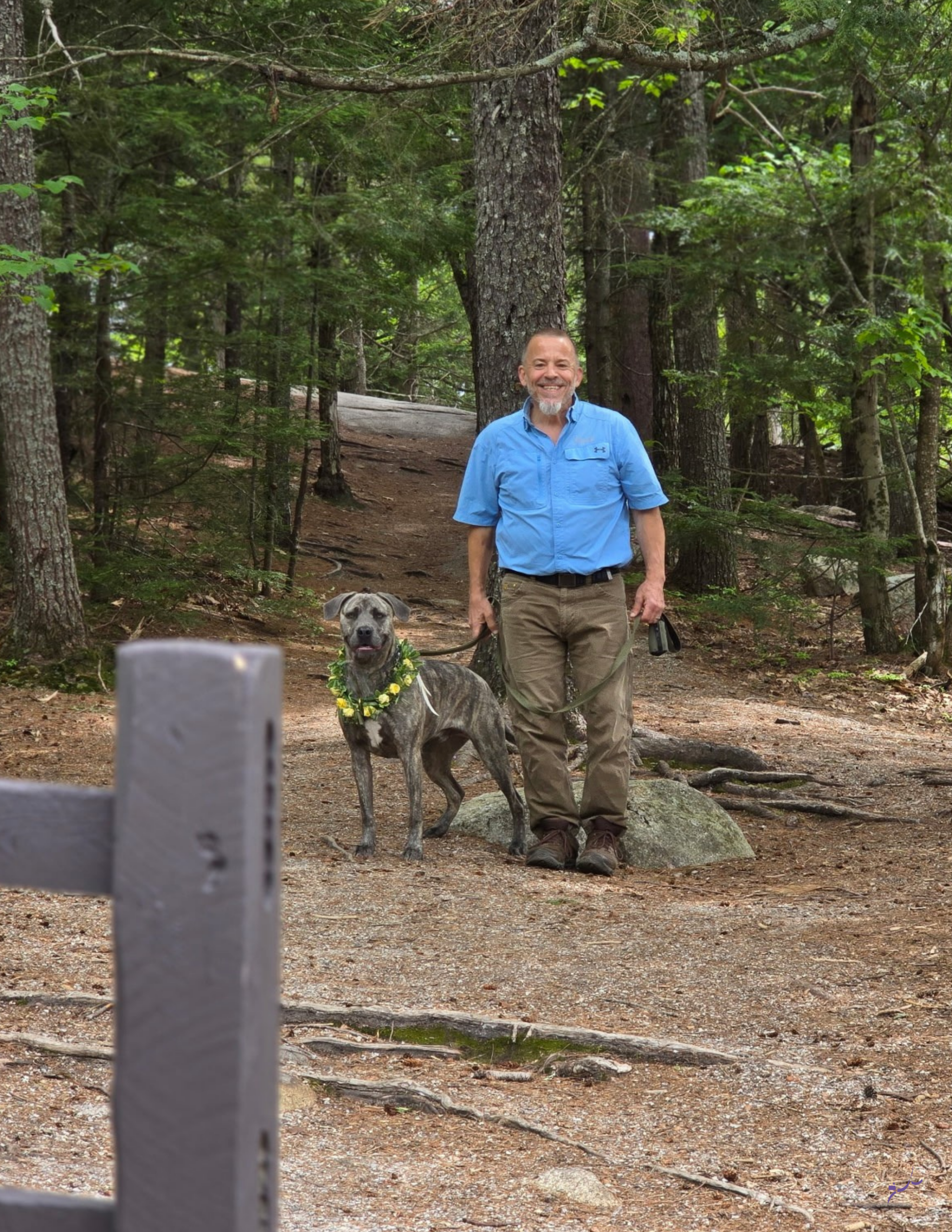 wedding event dog training in ct